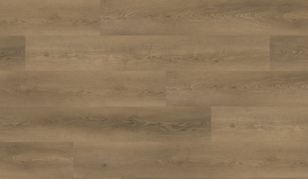 Picture of Responsive Industries - Elevate Clearwater