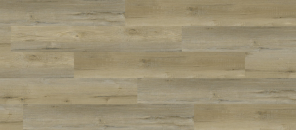 Picture of Responsive Industries - Elevate Nokomis