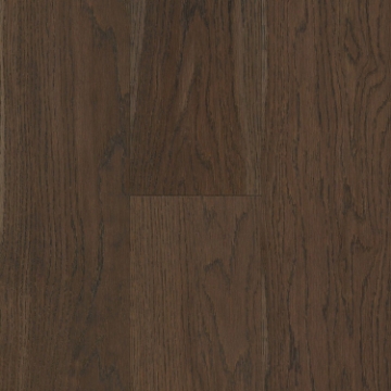 Picture of Bruce - Dogwood Pro Daydream