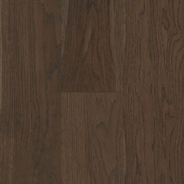 Picture of Bruce - Dogwood Pro Daydream