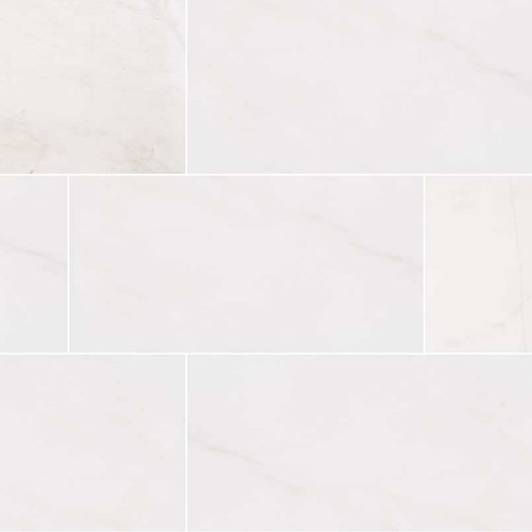 Picture of MSI - Marble 12 x 24 Polished Bianco Dolomite