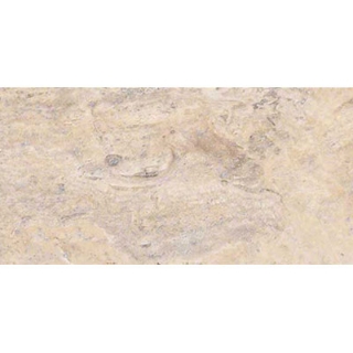 Picture of MSI - Travertine 12 x 24 Honed Filled Silver Vein Cut Travertine