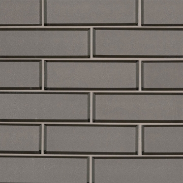 Picture of MSI - Glass Mosaic 2 x 6 Champagne Beveled