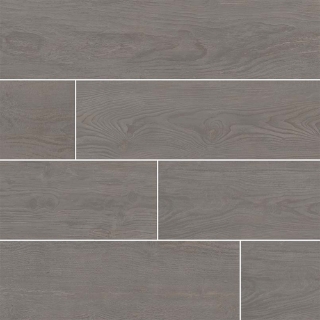 Picture of MSI - Caldera Coala