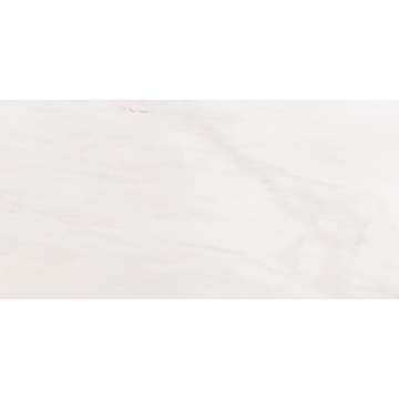 Picture of MSI - Marble 12 x 24 Honed Bianco Dolomite Beveled