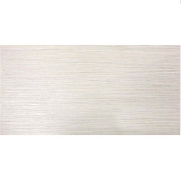 Picture of MSI - Focus 12 x 24 Glacier