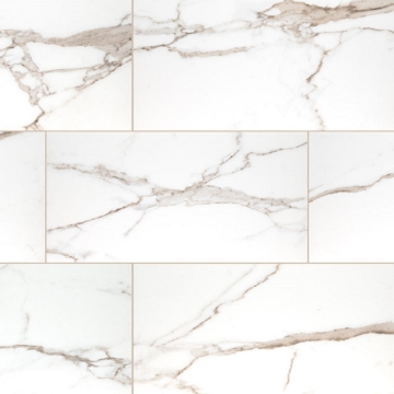 Picture of MSI - Savoy 12 x 24 Matte Crema