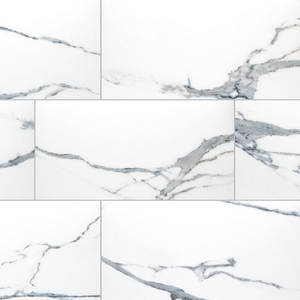 Picture of MSI - Savoy 24 x 48 Polished Azula