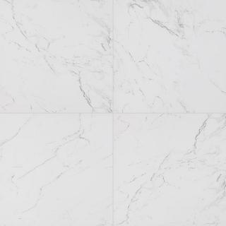 Picture of MSI - Pietra 24 x 24 Polished Carrara Polished