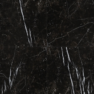 Picture of MSI - Regallo 24 x 24 Marquina-Noir Matte