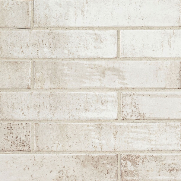 Picture of MSI - Stella Biscotti