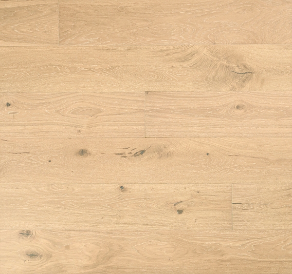 Picture of MSI - Ladson Whitlock