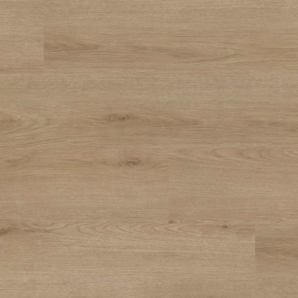 Picture of MSI - XL Studio Bozeman