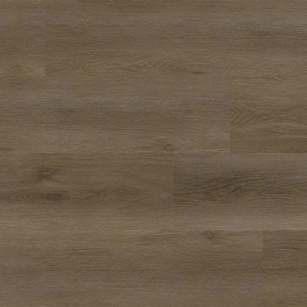 Picture of MSI - XL Studio Doack