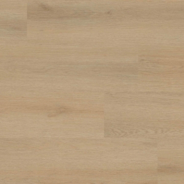 Picture of MSI - XL Studio Quillian