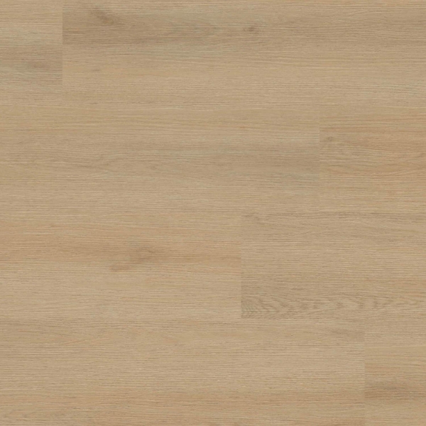 Picture of MSI - XL Studio Quillian