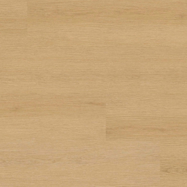 Picture of MSI - XL Studio Roswell