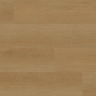 Picture of MSI - XL Studio Taos