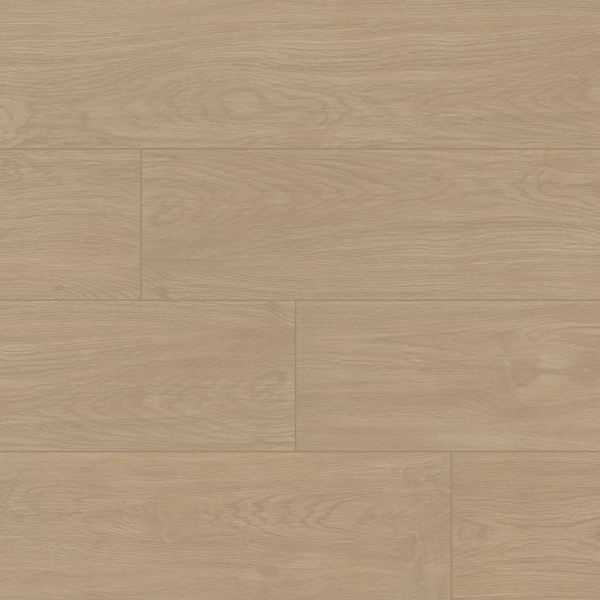 Picture of MSI - Whitehill Beckleywood