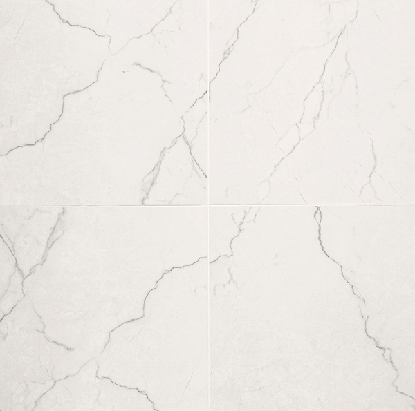 Picture of MSI - Brighton 24 x 24 Polished Grey