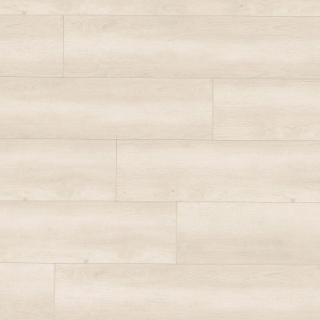 Picture of MSI - Shorecliffs Sunny Shake