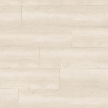 Picture of MSI - Shorecliffs Sunny Shake