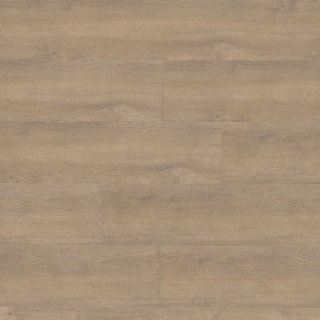 Picture of MSI - Shorecliffs Brundinson