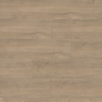 Picture of MSI - Shorecliffs Brundinson