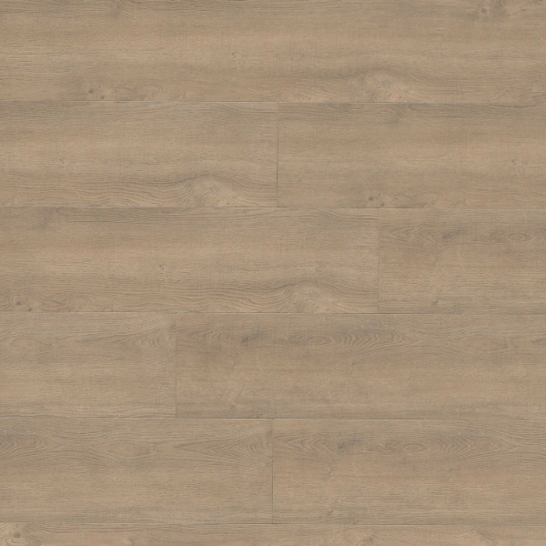 Picture of MSI - Shorecliffs Brundinson