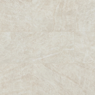 Picture of MSI - Arterra 24 x 48 Porcelain Pavers Legions Taja Ivory