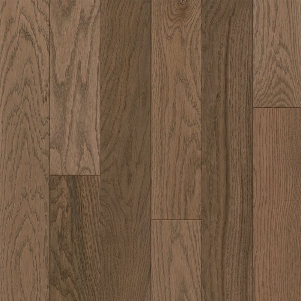 Picture of Bruce - Dundee Plank 3 1/4 Low Gloss Equestrian Woods