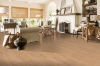 Picture of Bruce - Dundee Plank 3 1/4 Low Gloss Tawny Beach