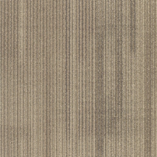 Picture of Patcraft - Speak In Color Cradenza Cream