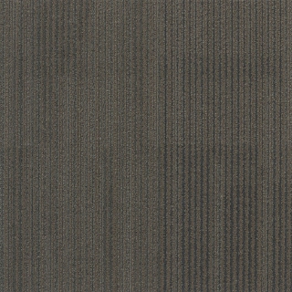 Picture of Patcraft - Speak In Color Tonal Earth