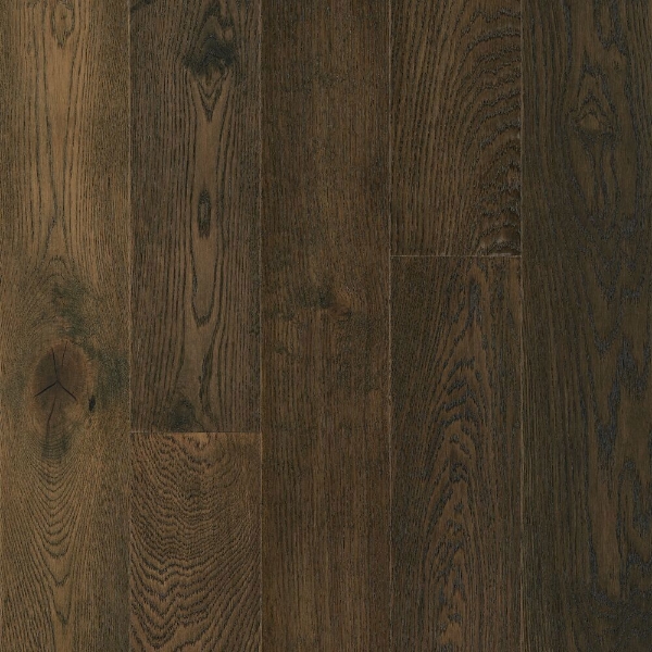 Picture of Bruce - Treescape Dusk