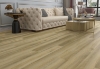 Picture of Glazzio - Arvora Blonde Oak