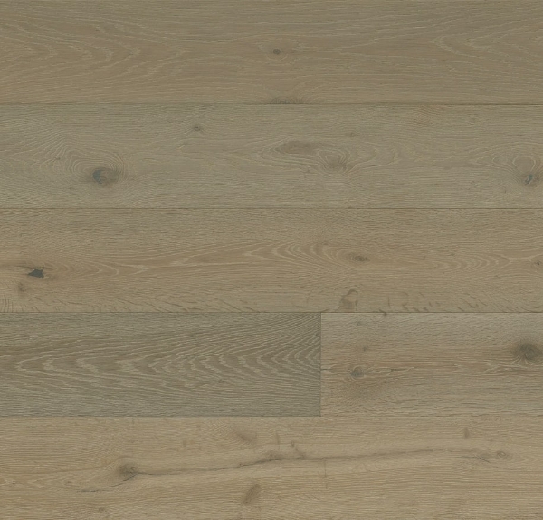 Picture of Monarch Plank - Tableau Bazille