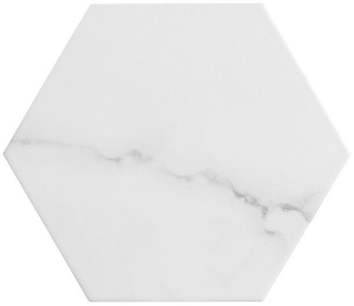 Picture of Glazzio - Bismarck Palmer Hexagon Oley Finesse