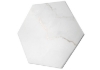 Picture of Glazzio - Bismarck Palmer Hexagon Ghost White