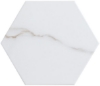 Picture of Glazzio - Bismarck Palmer Hexagon Ghost White