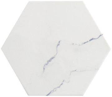 Picture of Glazzio - Bismarck Palmer Hexagon Aloe Cream