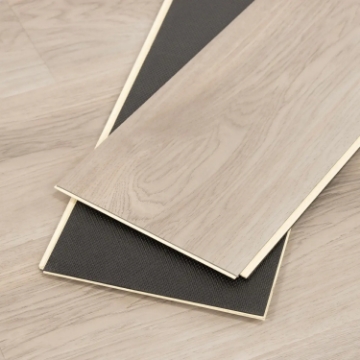 Picture of Cali - Laguna Whale Watch