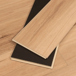 Picture of Cali - Legends Calypso Cove