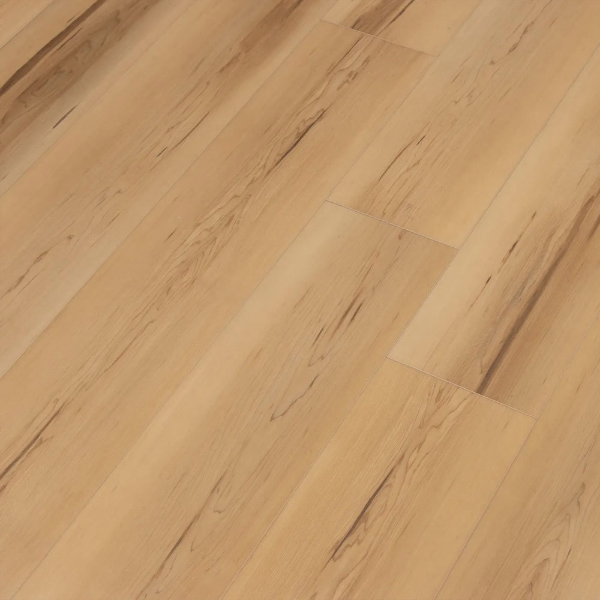 Picture of Cali - Longboard Dana Landing discod