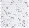 Picture of Glazzio - Carolina Dots Fashion Spec
