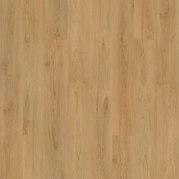 Picture of Mohawk - SolidTech Plus Barker Hollow Daisy