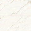 Picture of Bedrosians - Magnifica Calacatta Oro 24 x 48 Calacatta Oro Honed