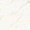 Picture of Bedrosians - Magnifica Calacatta Oro 24 x 48 Calacatta Oro Polished
