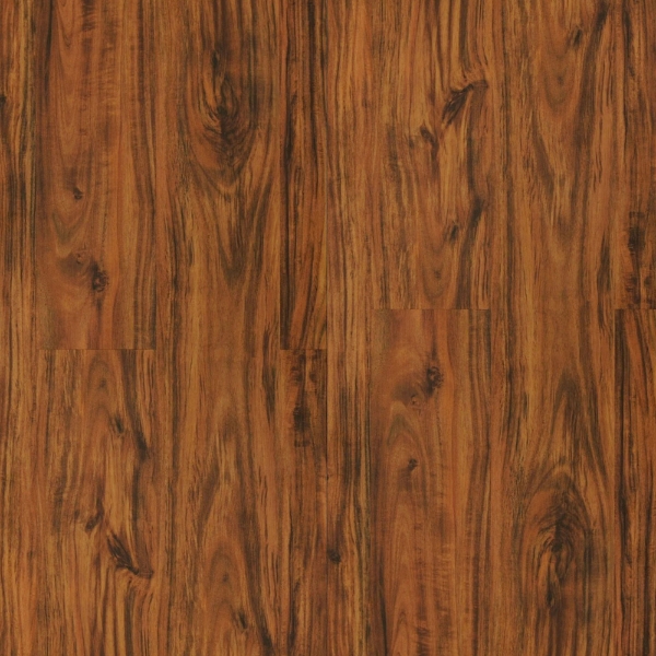 Picture of Durato - V-Evo Max Blenheim discod