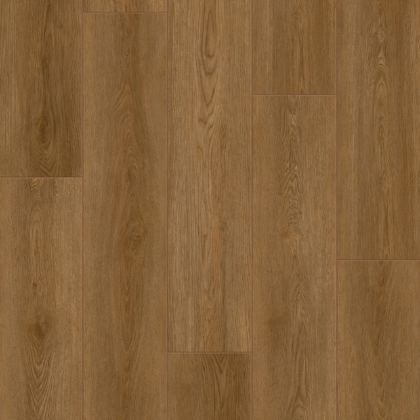 Picture of Durato - V-Evo Max Dresden